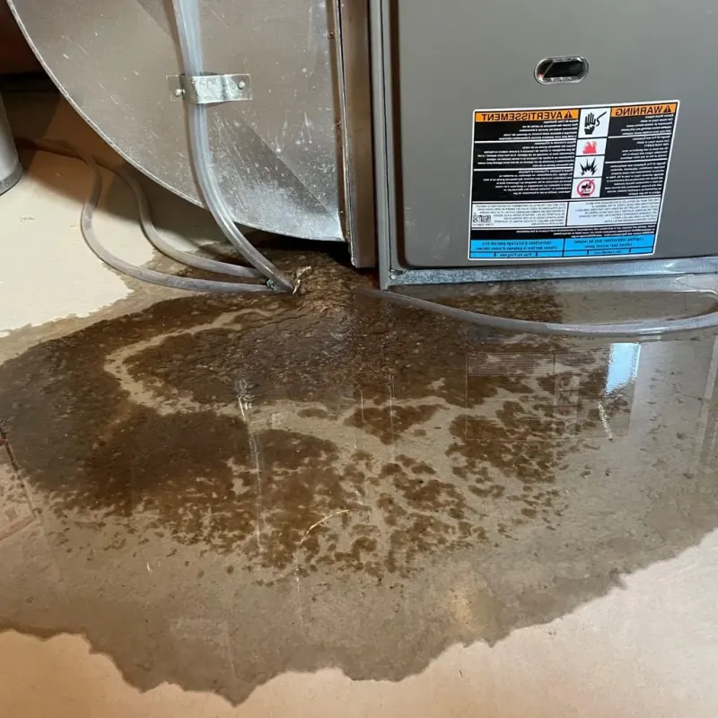 Pipe Burst and Leak Restoration in Spring Valley, MN
