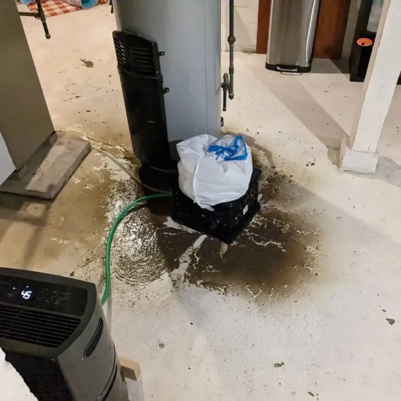 Sewage Backup Cleanup Service in Spring Valley, MN